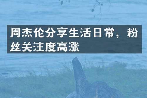 周杰伦分享生活日常，粉丝关注度高涨