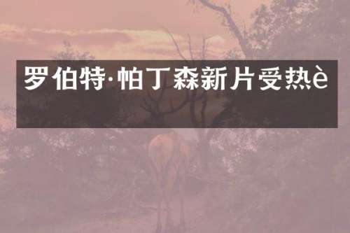 罗伯特·帕丁森新片受热议
