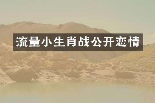 流量小生肖战公开恋情