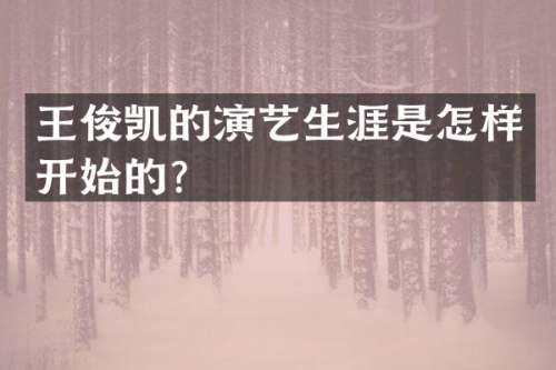 王俊凯的演艺生涯是怎样开始的？
