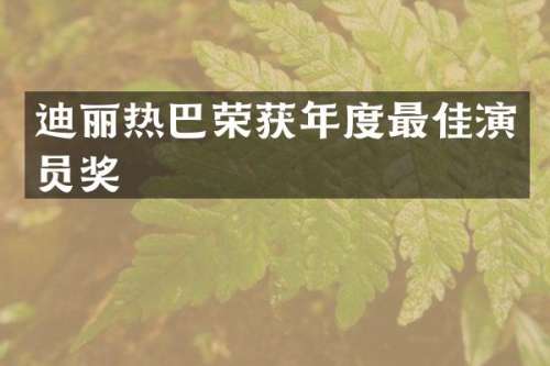 迪丽热巴荣获年度最佳演员奖