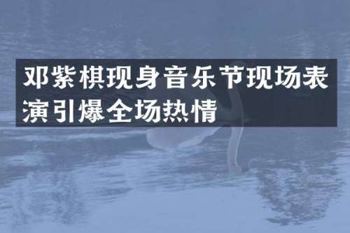 邓紫棋现身音乐节现场表演全场热情
