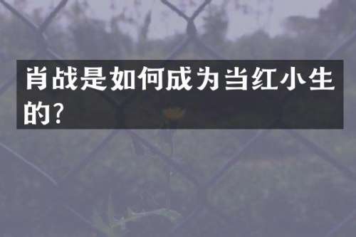 肖战是如何成为当红小生的？