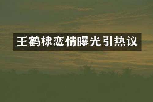 王鹤棣恋情曝光引热议