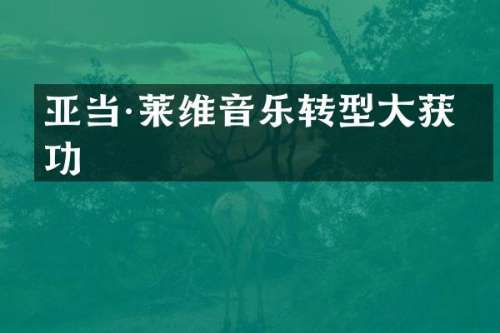 亚当·莱维音乐转型大获成功