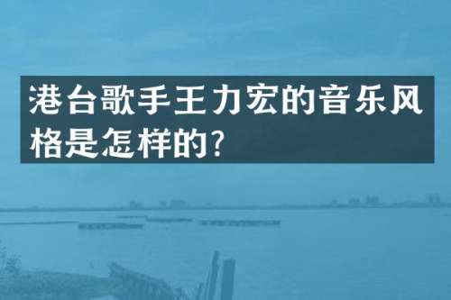 港台歌手王力宏的音乐风格是怎样的？