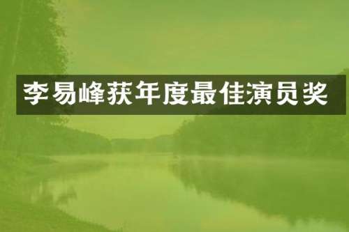 李易峰获年度最佳演员奖