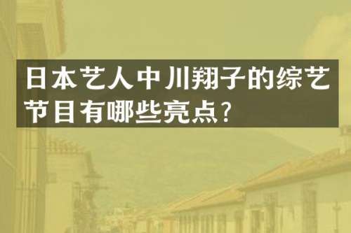 日本艺人中川翔子的综艺节目有哪些亮点？