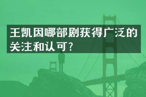 王凯因哪部剧获得广泛的关注和认可？