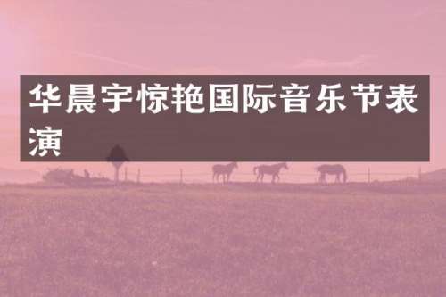 华晨宇惊艳国际音乐节表演
