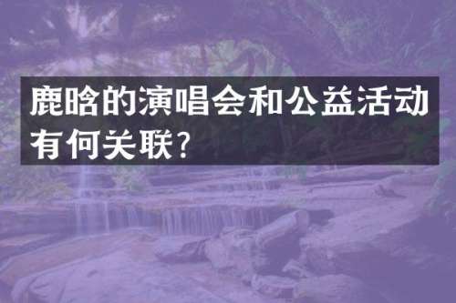 鹿晗的演唱会和公益活动有何关联？