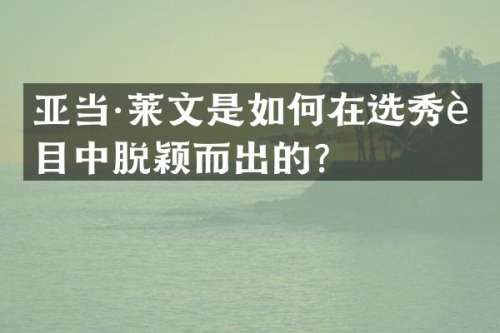 亚当·莱文是如何在选秀节目中脱颖而出的？