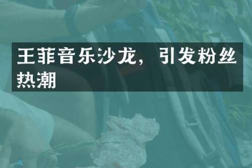 王菲音乐沙龙，引发粉丝热潮