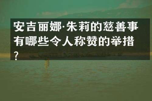 安吉丽娜·朱莉的慈善事业有哪些令人称赞的举措？
