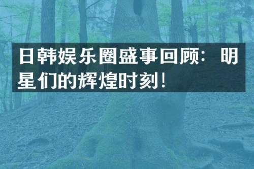 日韩娱乐圈盛事回顾：明星们的辉煌时刻！