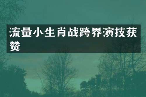 流量小生肖战跨界演技获赞