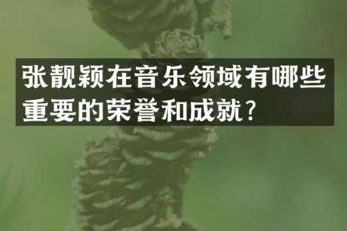 张靓颖在音乐领域有哪些重要的荣誉和成就？