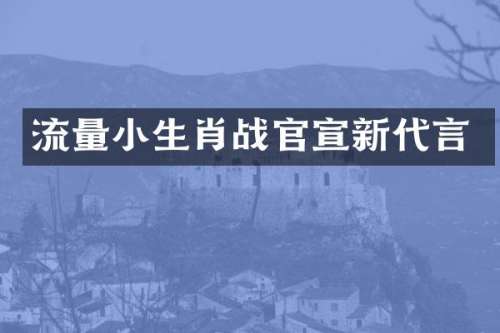 流量小生肖战官宣新代言