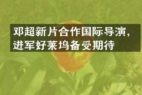 邓超新片合作国际导演，进军好莱坞备受期待