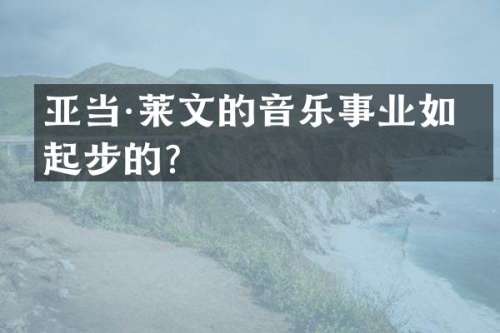亚当·莱文的音乐事业如何起步的？