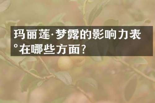 玛丽莲·梦的影响力表现在哪些方面？