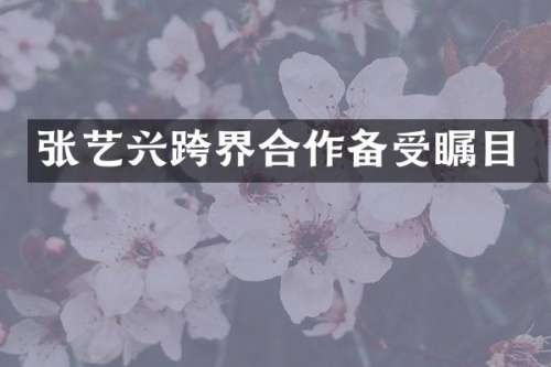 张艺兴跨界合作备受瞩目