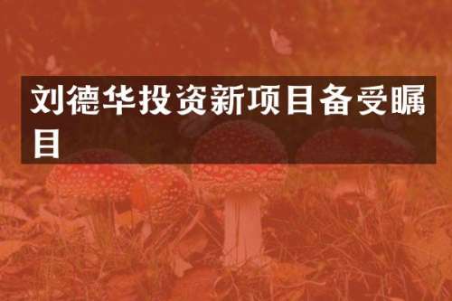 刘德华投资新项目备受瞩目