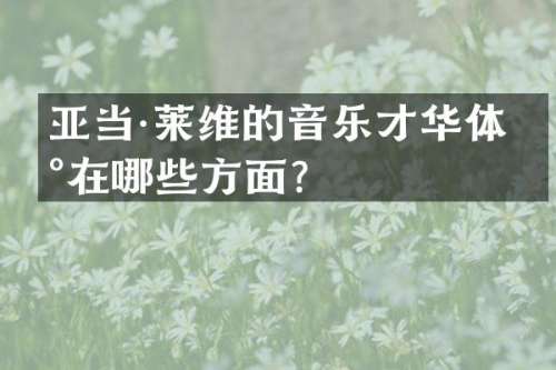 亚当·莱维的音乐才华体现在哪些方面？