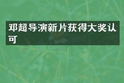 邓超导演新片获得大奖认可