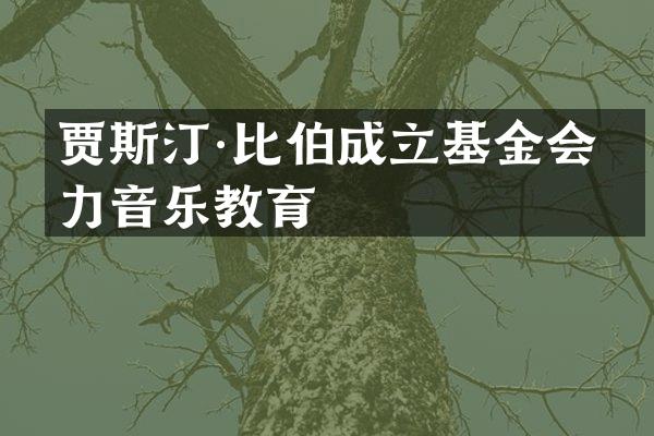 贾斯汀·比伯成立基金会助力音乐教育