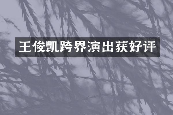 王俊凯跨界演出获好评