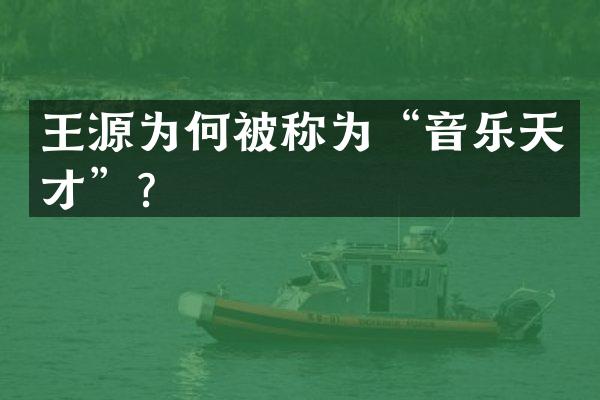 王源为何被称为“音乐天才”？