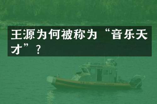 王源为何被称为“音乐天才”？