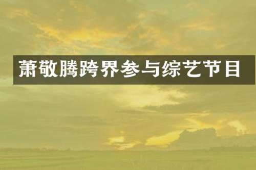 萧敬腾跨界参与综艺节目