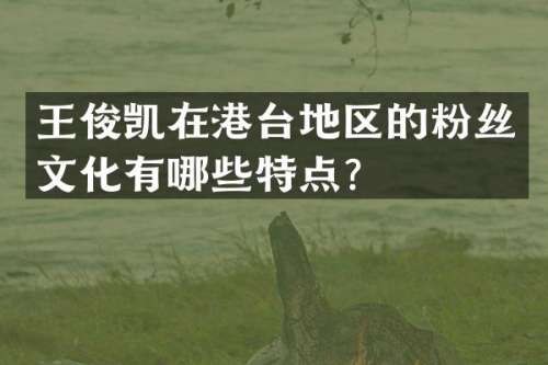 王俊凯在港台地区的粉丝文化有哪些特点？