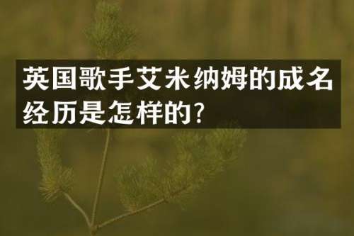 英国歌手艾米纳姆的成名经历是怎样的？