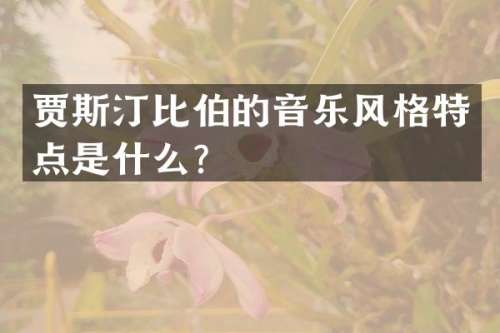 贾斯汀比伯的音乐风格特点是什么？