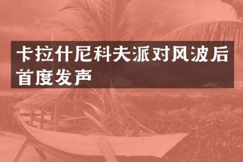 卡拉什尼科夫派对风波后首度发声