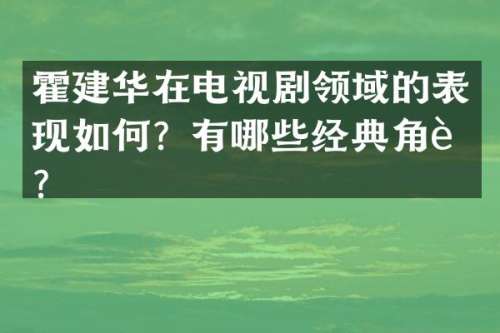 霍建华在电视剧领域的表现如何？有哪些经典角色？