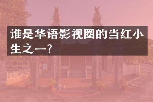 谁是华语影视圈的当红小生之一？