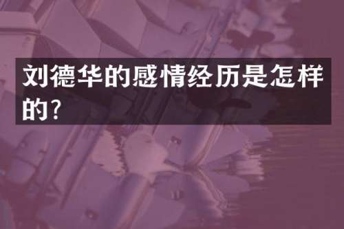 刘德华的感情经历是怎样的？