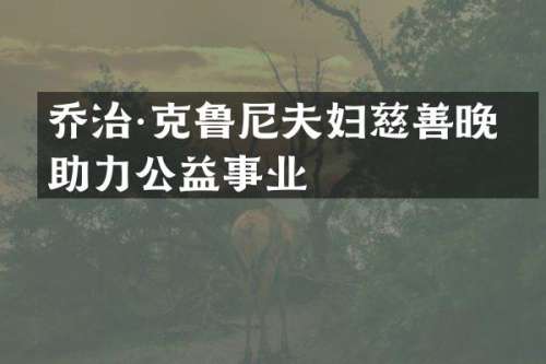 乔治·克鲁尼夫妇慈善晚宴助力公益事业