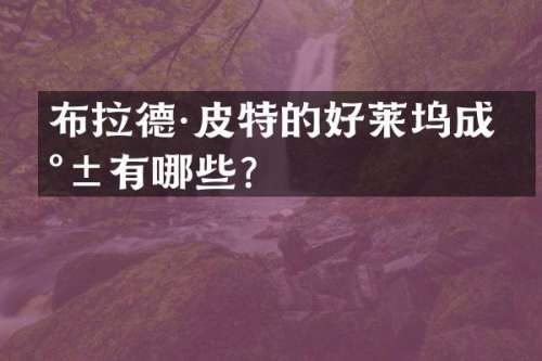 布拉德·皮特的好莱坞成就有哪些？