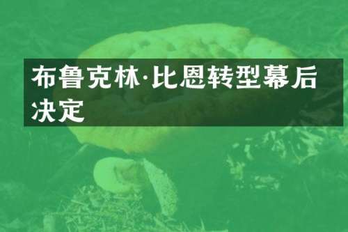 布鲁克林·比恩转型幕后的决定
