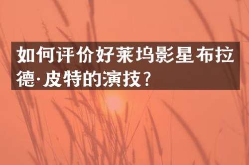 如何评价好莱坞影星布拉德·皮特的演技？