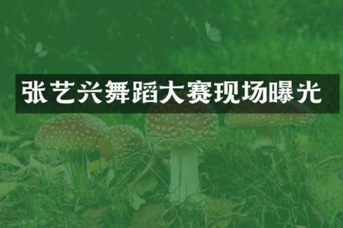 张艺兴舞蹈大赛现场曝光