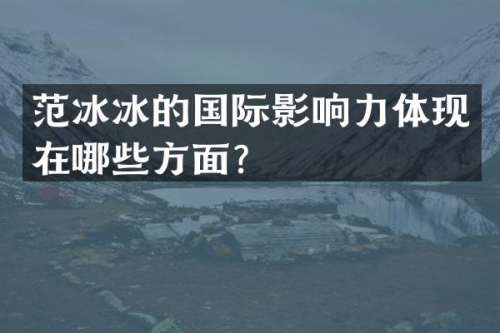 的国际影响力体现在哪些方面？