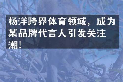 杨洋跨界体育领域，成为某品牌代言人引发关注热潮！