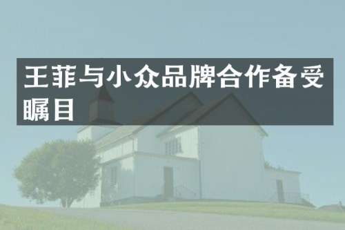 王菲与小众品牌合作备受瞩目