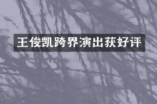王俊凯跨界演出获好评
